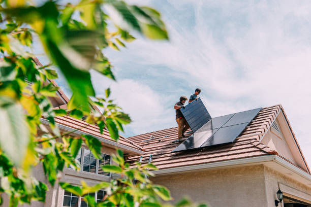 Best Roof Moss and Algae Removal  in Maury, NC