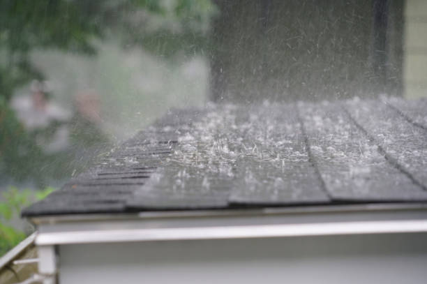 Best Solar Panel Roofing Installation  in Maury, NC